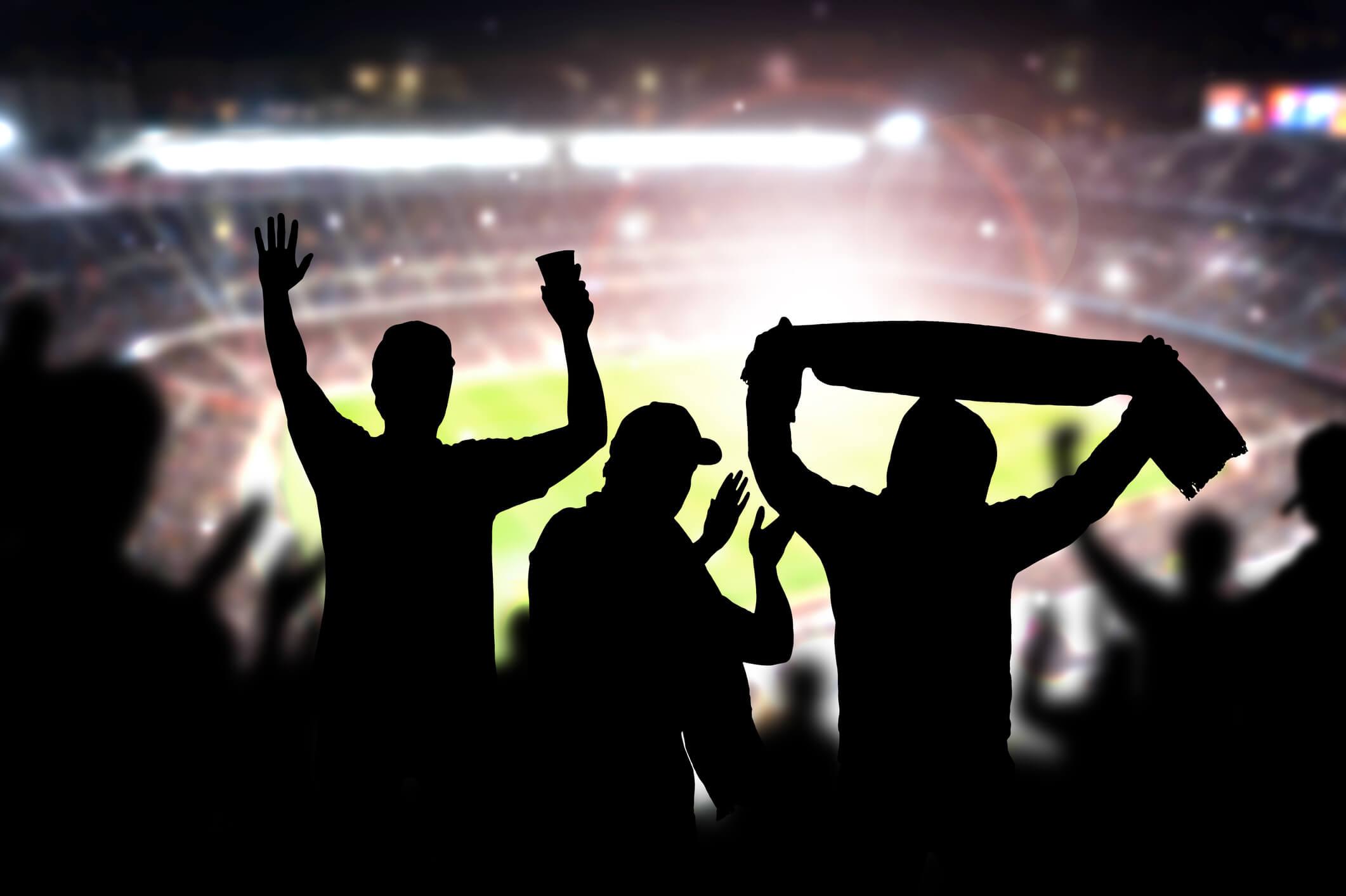 The Best Stadium Blankets for the Outdoor Sports Season - Sew Sweet Minky Designs