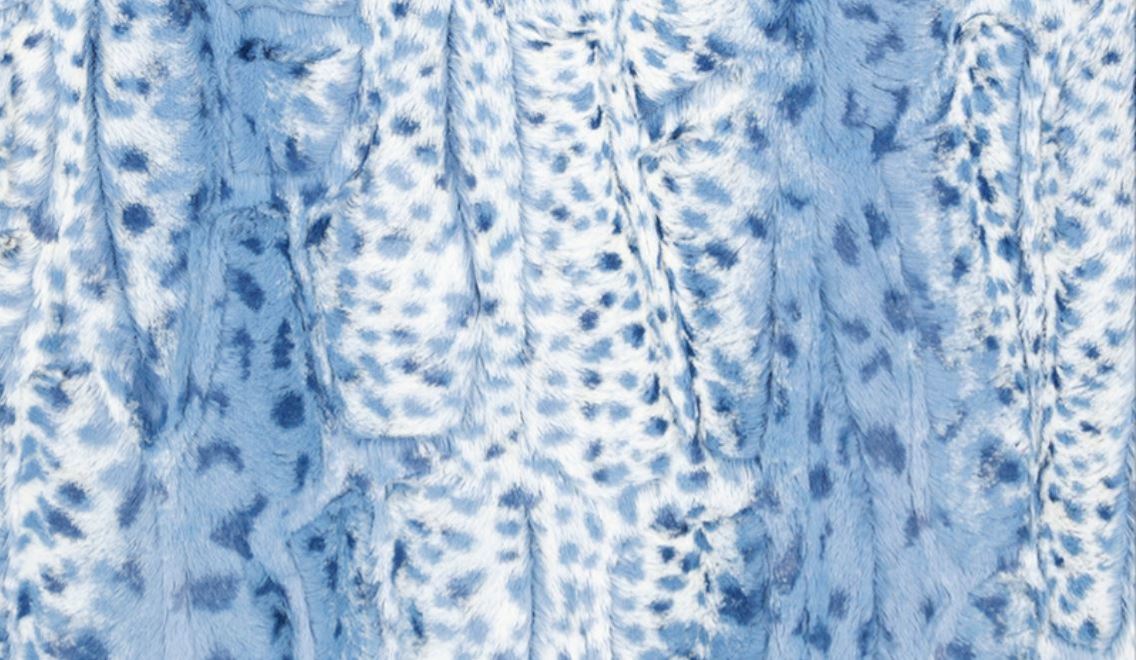 Fawn Bluebell