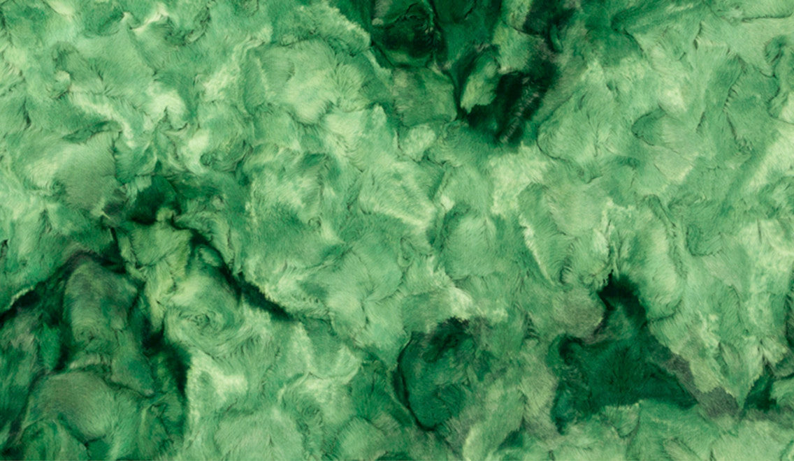 Galaxy Evergreen