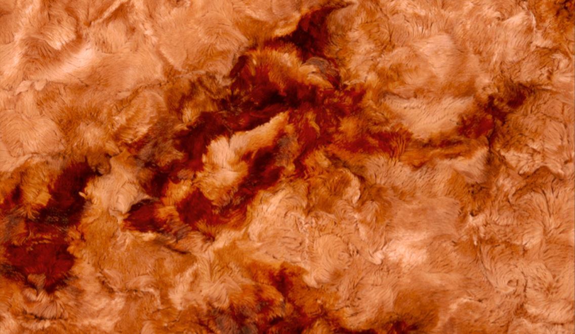 Galaxy Ginger