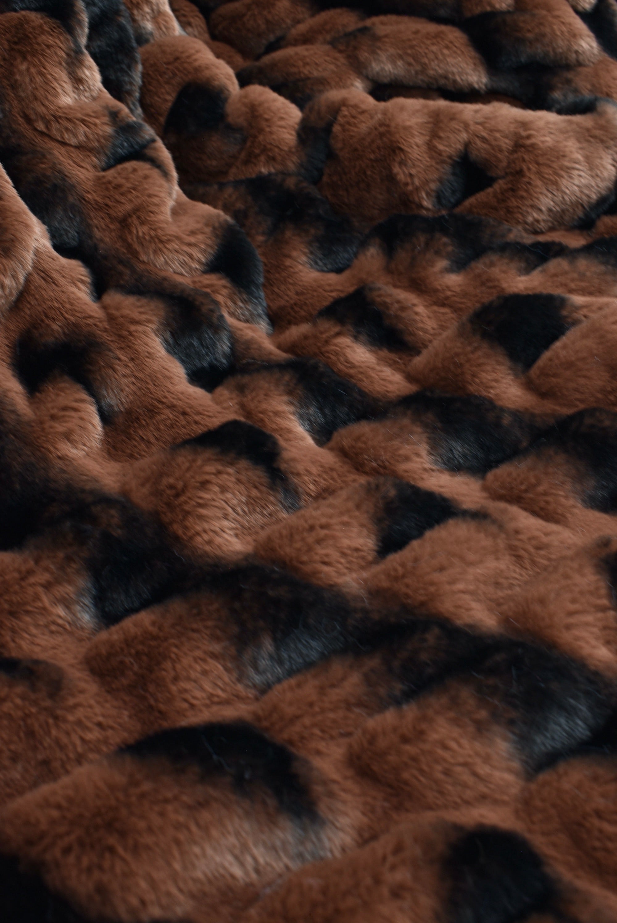 Milan Luca Autumn Minky Blanket