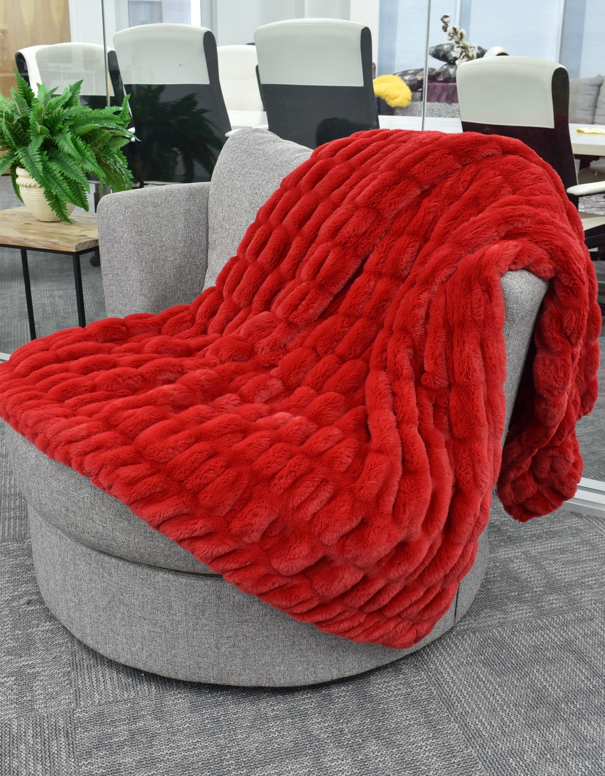 Milan Cardinal Minky Blanket