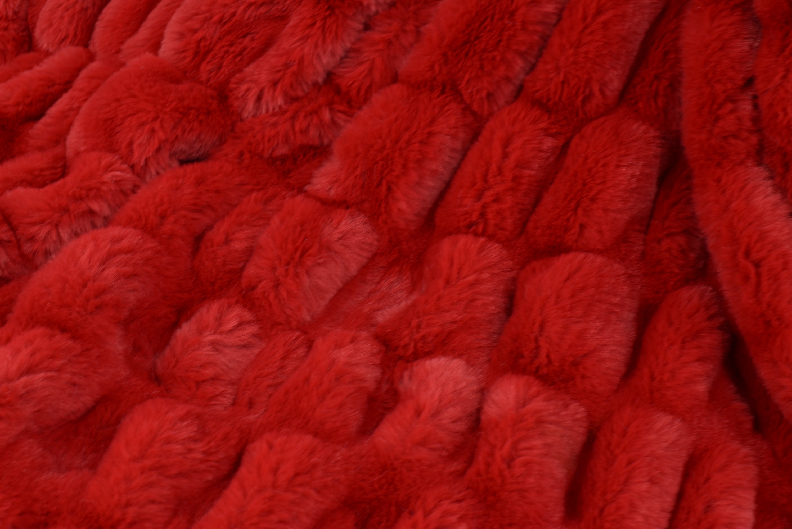 Milan Cardinal Minky Blanket