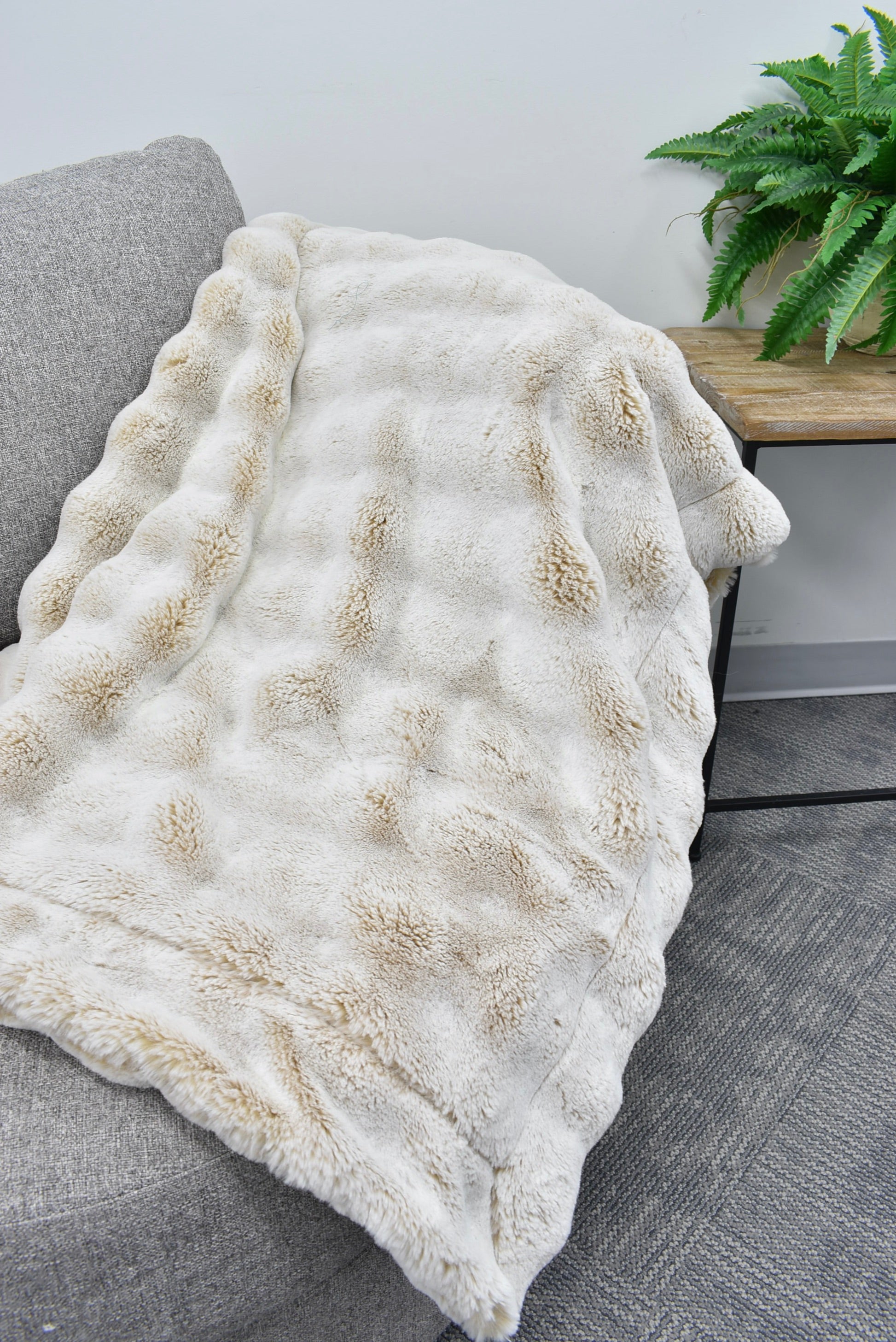 Frosted Powderpuff Sanddollar Minky Blanket