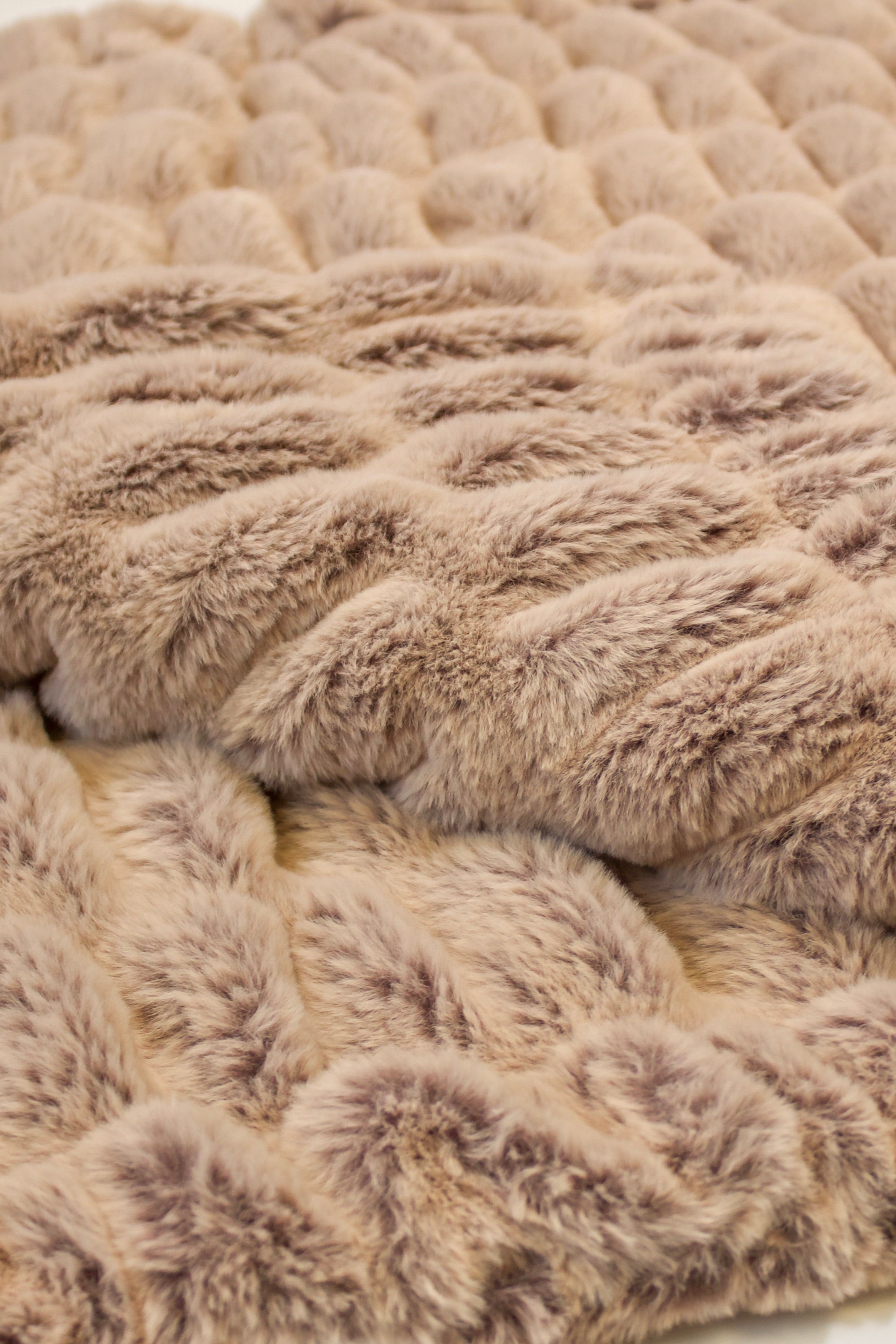 Iced Milan Chocolate / Almond Minky Blanket