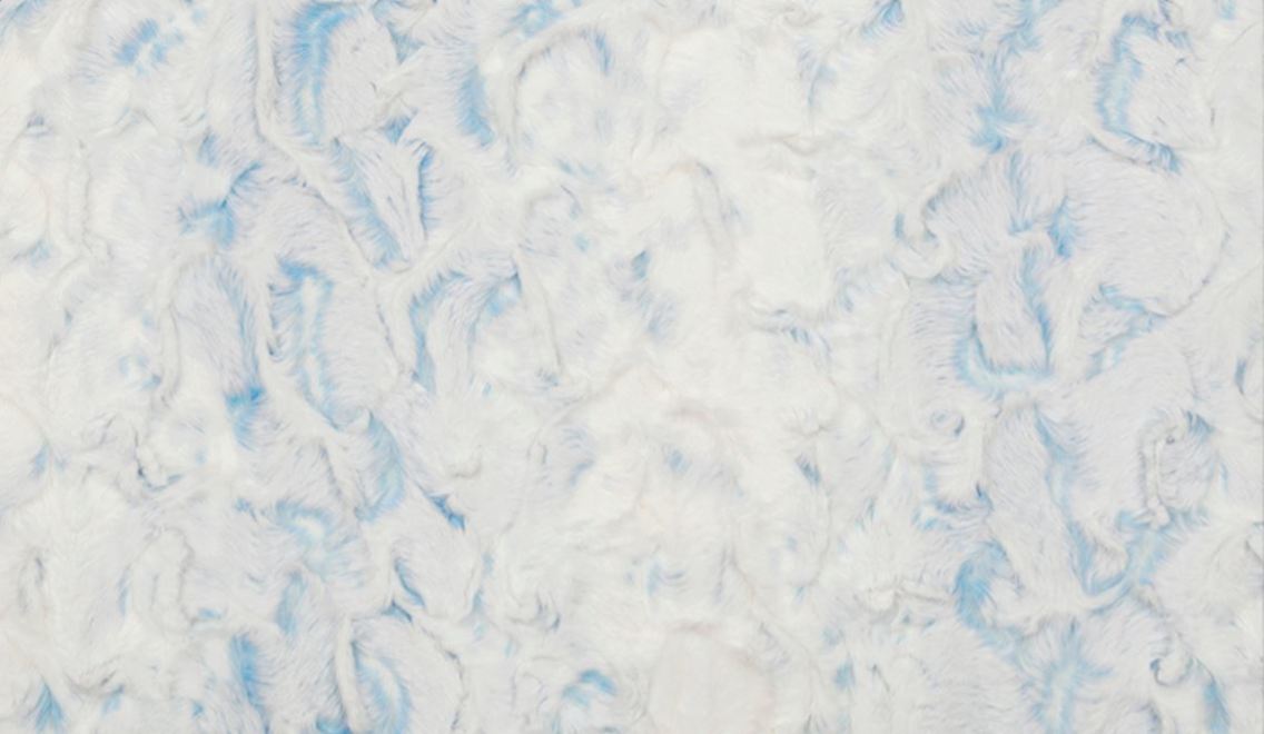 Snowy Owl Sky