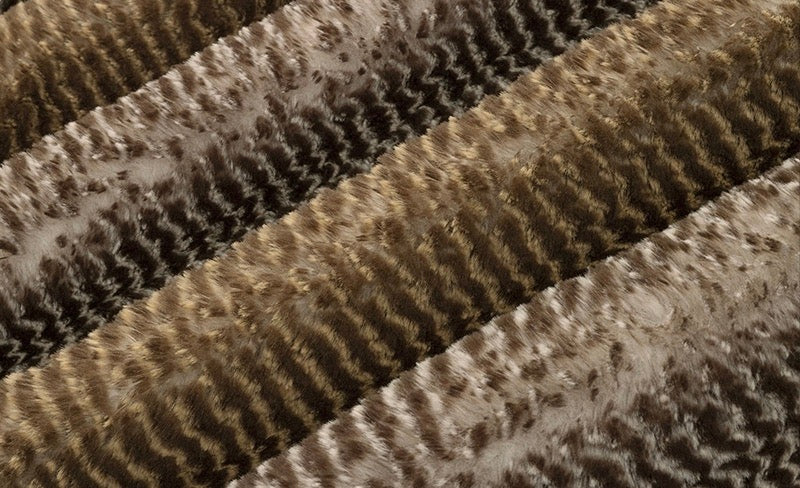 Arctic Owl Caramel