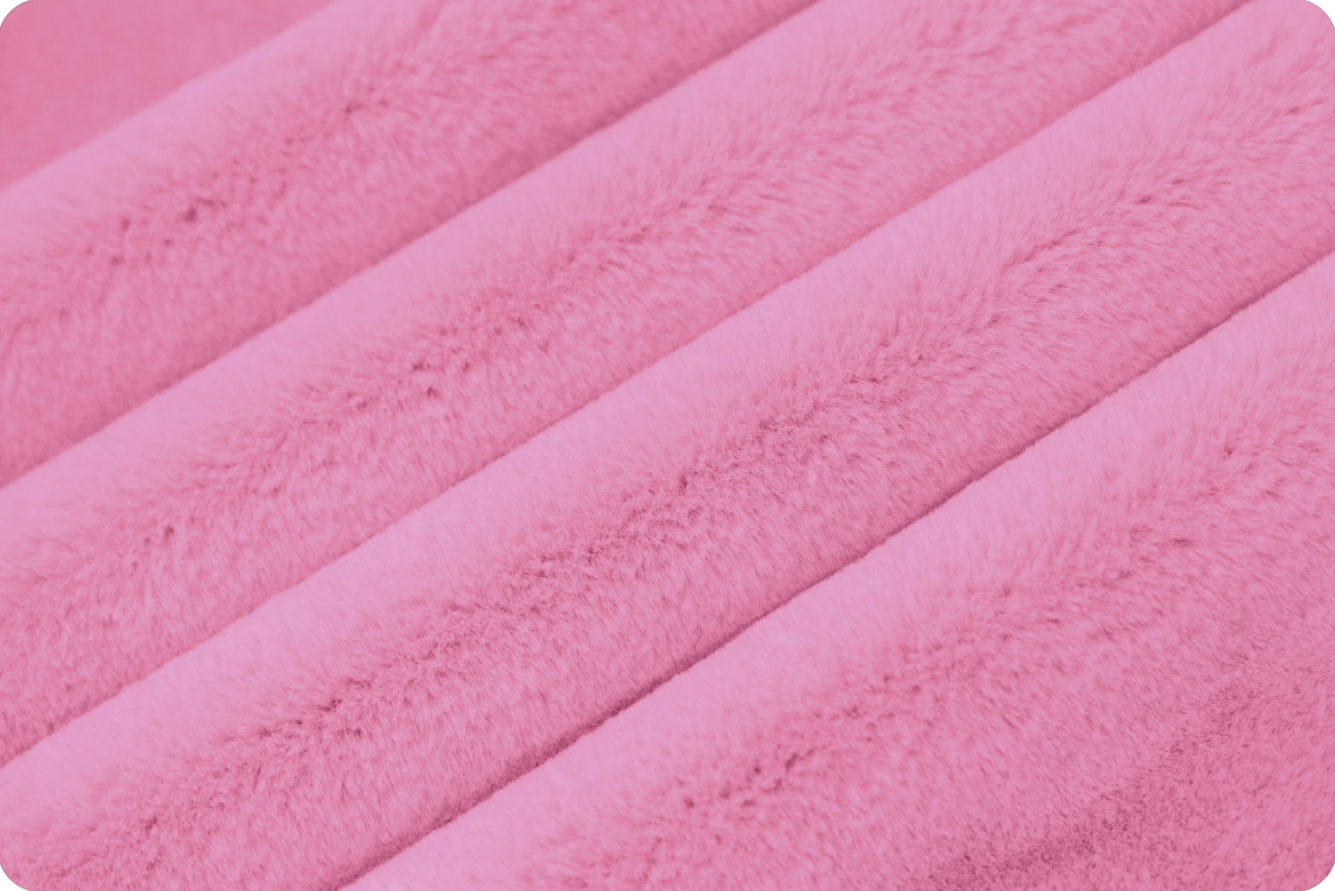 Encore Hot Pink