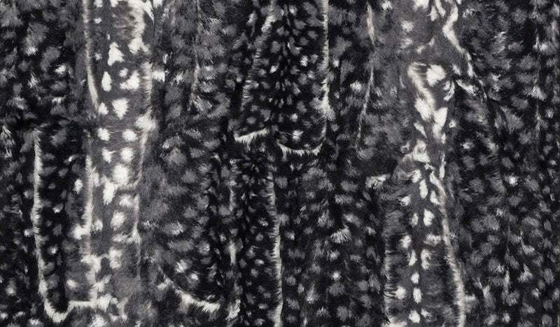 Fawn Ash / Caviar