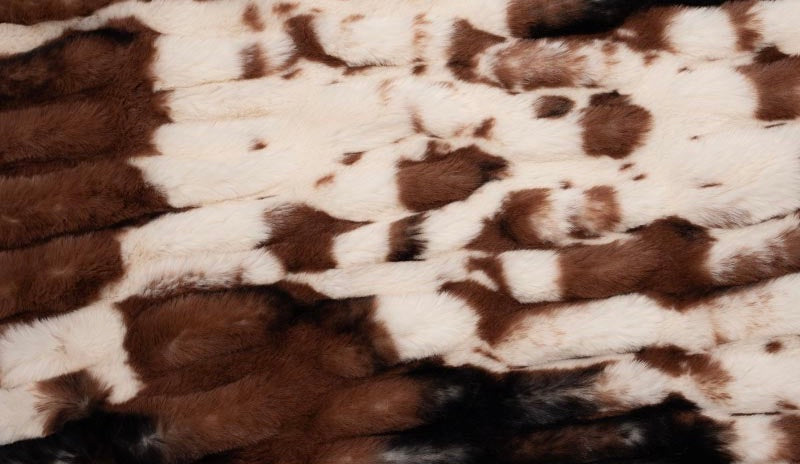 Milan Pony Ivory / Brown