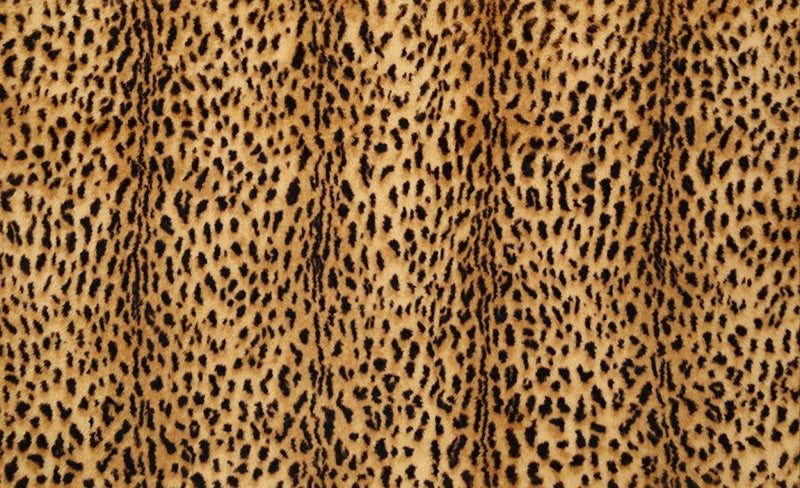 Savanna Camel / Black