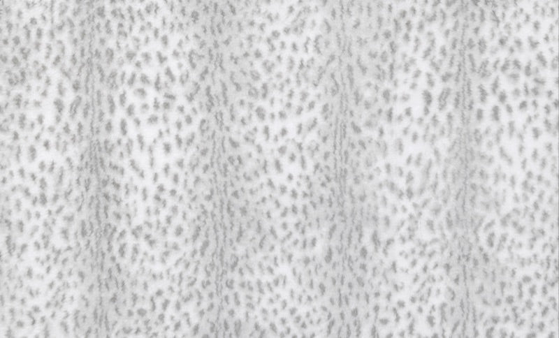 Savanna Silver