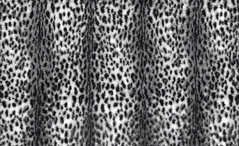 Savanna Black /Snow