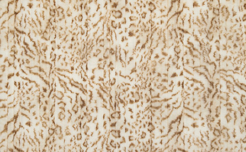 Vienna Bengal Cappuccino