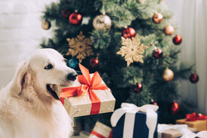Best Christmas Gifts for Dogs - Sew Sweet Minky Designs