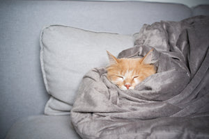 Sleep Benefits From Minky Blankets - Sew Sweet Minky Designs
