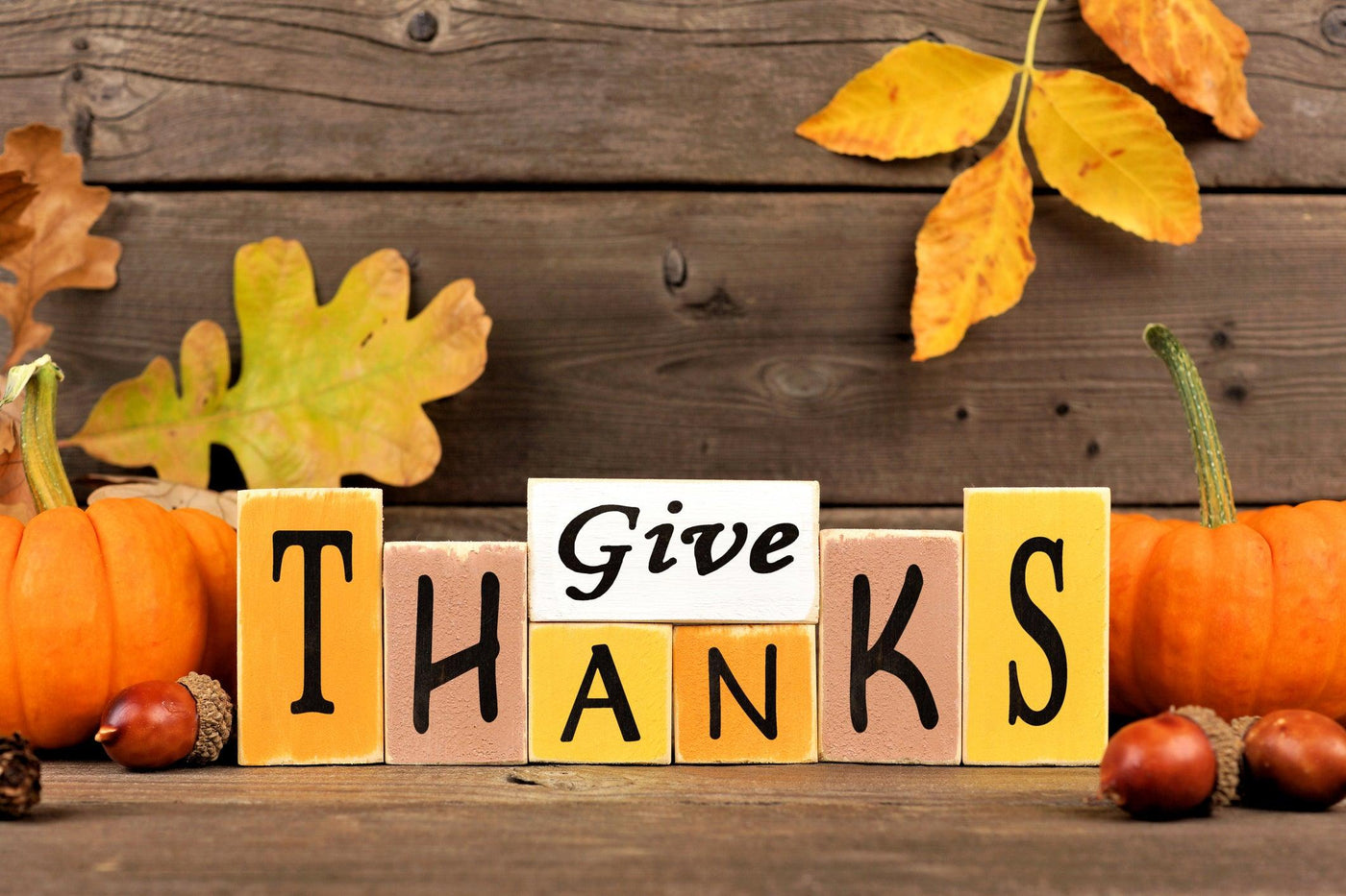 Decor Ideas for Thanksgiving - Sew Sweet Minky Designs