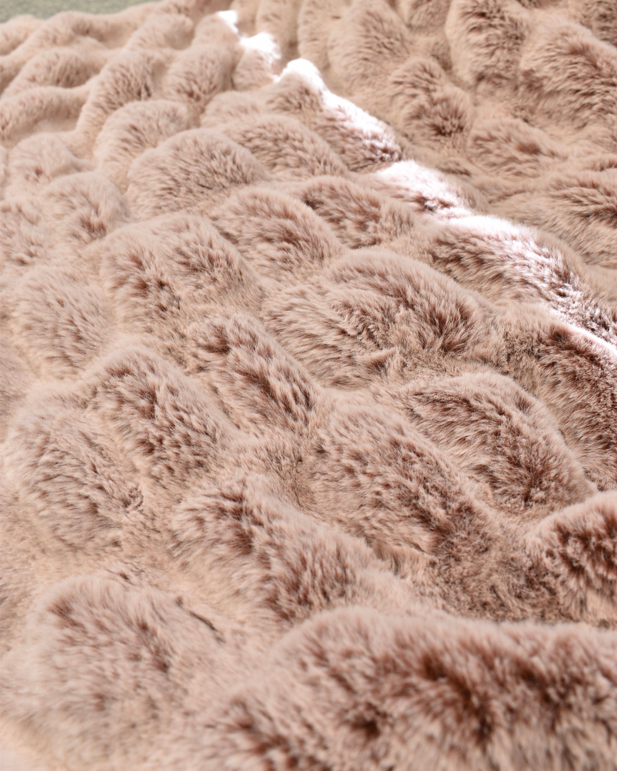 Iced Milan Cinnamon Minky Blanket