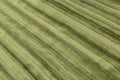 Vienna Chive & Camo Green  - XL Flag Strip Minky Blanket