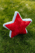 Star Decorative Pillow - Patriotic