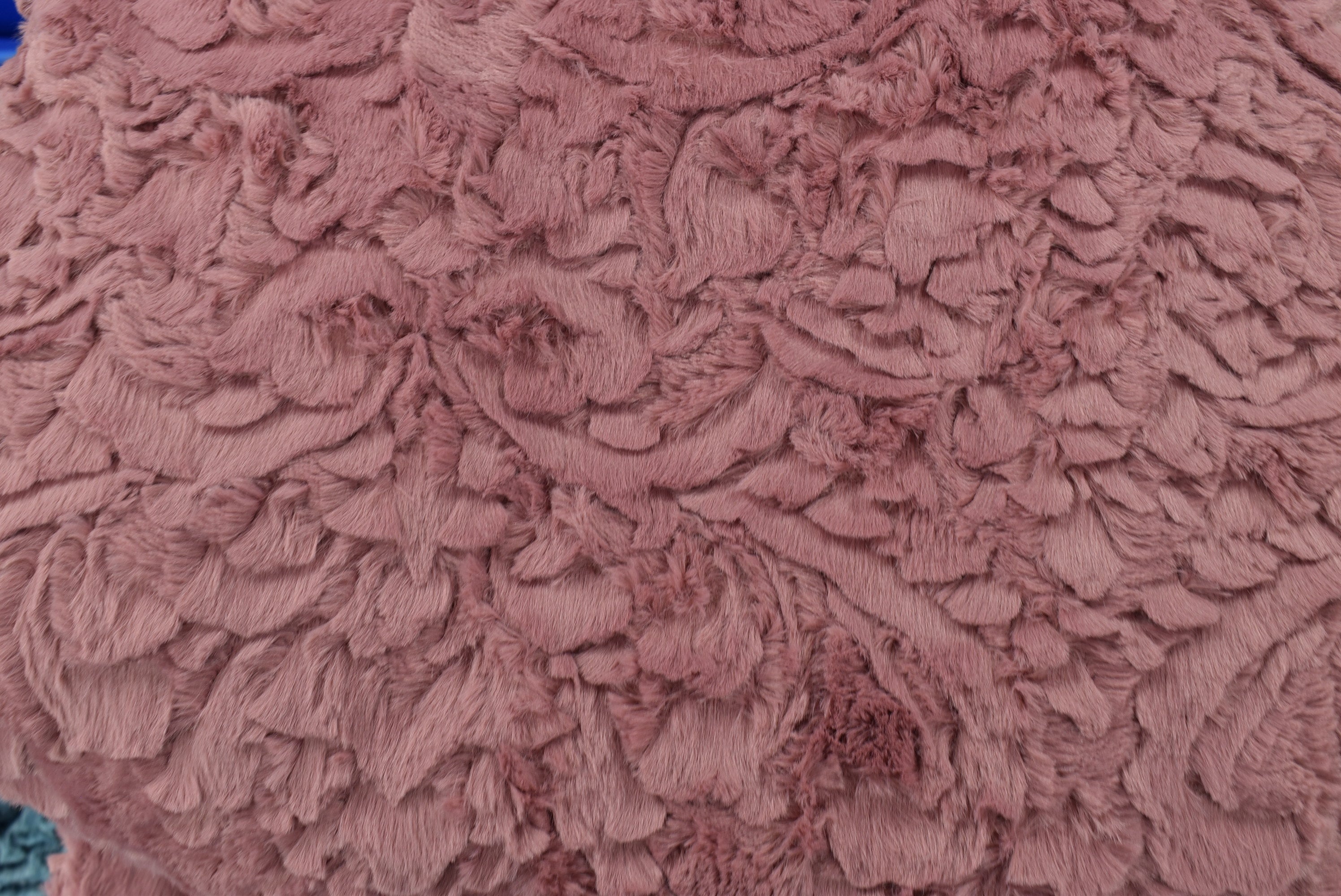 Dynasty Desert Rose