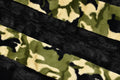 Black Willow & Camo Green Backing  - XL Flag Strip Minky Blanket
