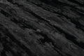Black Willow & Camo Green  - XL Flag Strip Minky Blanket