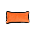 Halloween Decorative Pillow