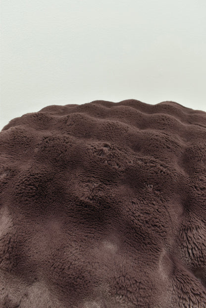 Powderpuff Rum Rasin Minky Blanket