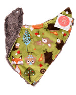 Foxy Tails Kiwi / Heather Frappe - Minky Bib