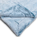 Frosted Baby Seal Teal Minky Blanket