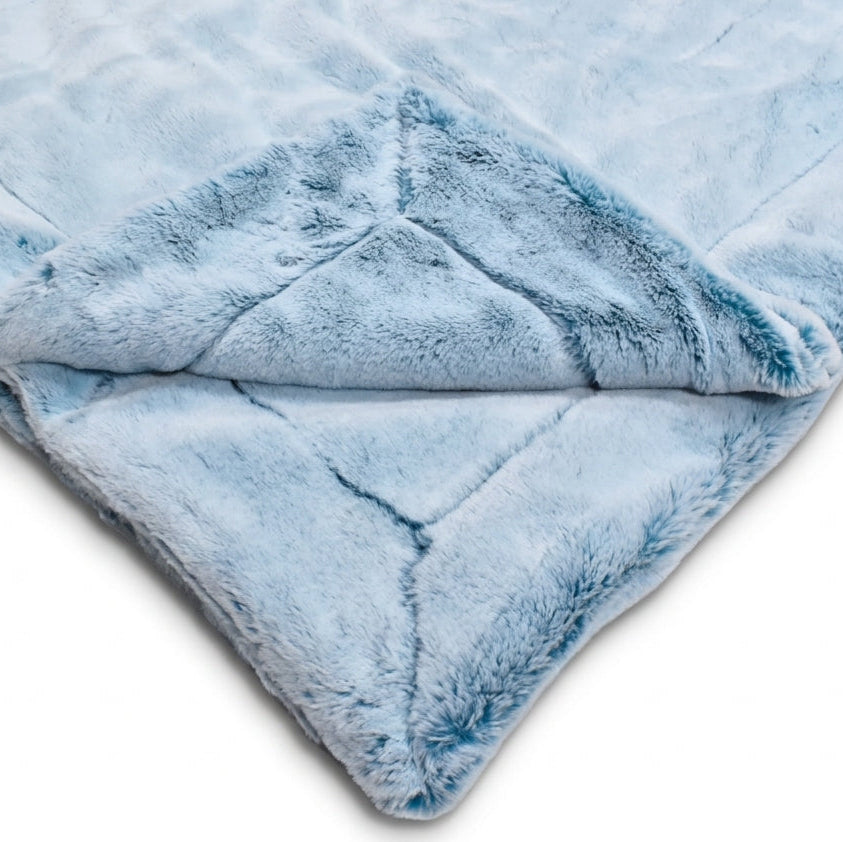 Frosted Baby Seal Teal Minky Blanket