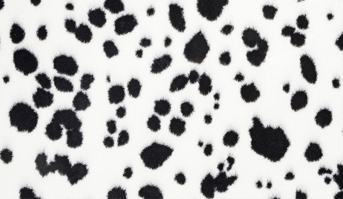 Dalmatian Snow