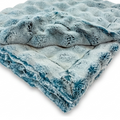 Frosted Powderpuff Poseidon Minky Blanket
