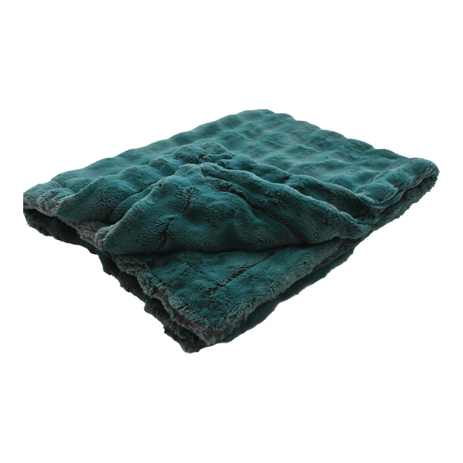 Frosted Powderpuff Everglade Minky Blanket