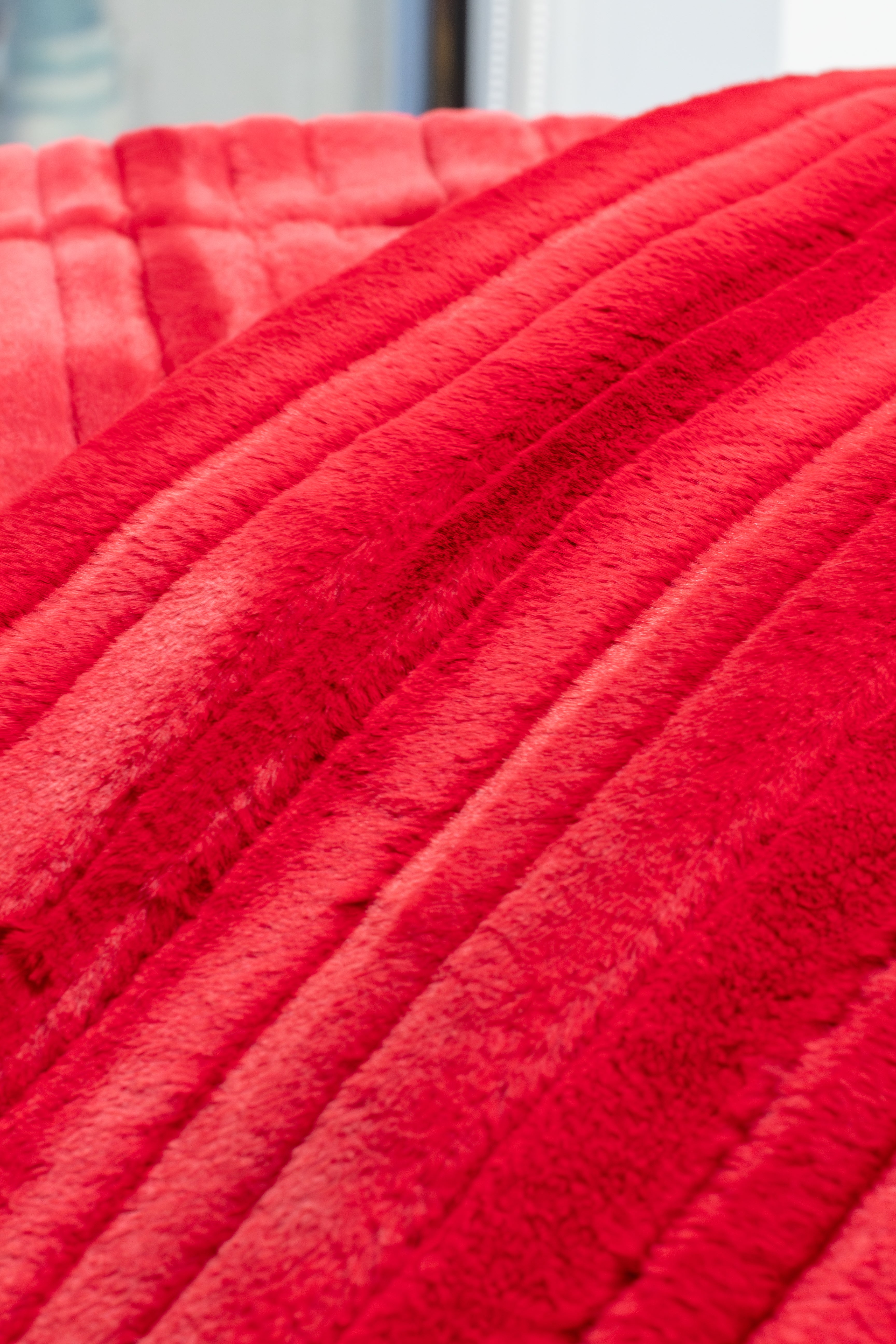 Vienna Cardinal Minky Blanket