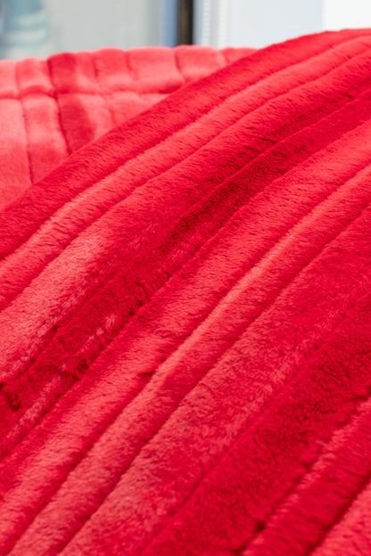 Vienna Cardinal Minky Blanket
