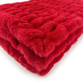 Milan Cardinal Minky Blanket