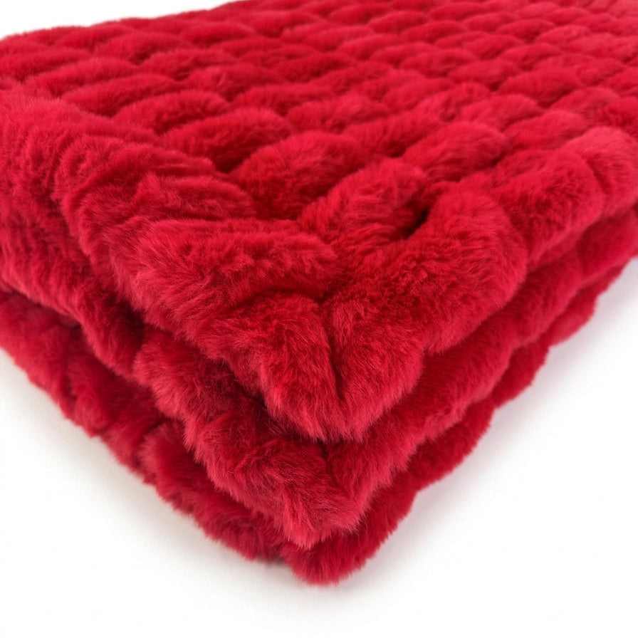 Milan Cardinal Minky Blanket