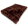 Milan Luca Autumn Minky Blanket