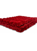 Powderpuff Crimson Minky Blanket