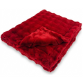 Powderpuff Crimson Minky Blanket