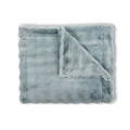 Powderpuff Raindrop Minky Blanket