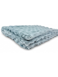 Powderpuff Raindrop Minky Blanket