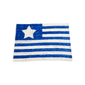 U.S. Air Force Hide Royal - XL Flagstrip Blanket