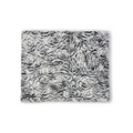 Demi Rose Prism Chrome Minky Blanket