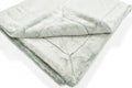 Frosted Baby Seal Pesto Minky Blanket