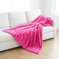 Vienna Think Pink Minky Blanket