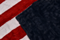 XL Star Panel Flag Strip - Willow Scarlet & Hide Snow