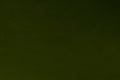 Loden